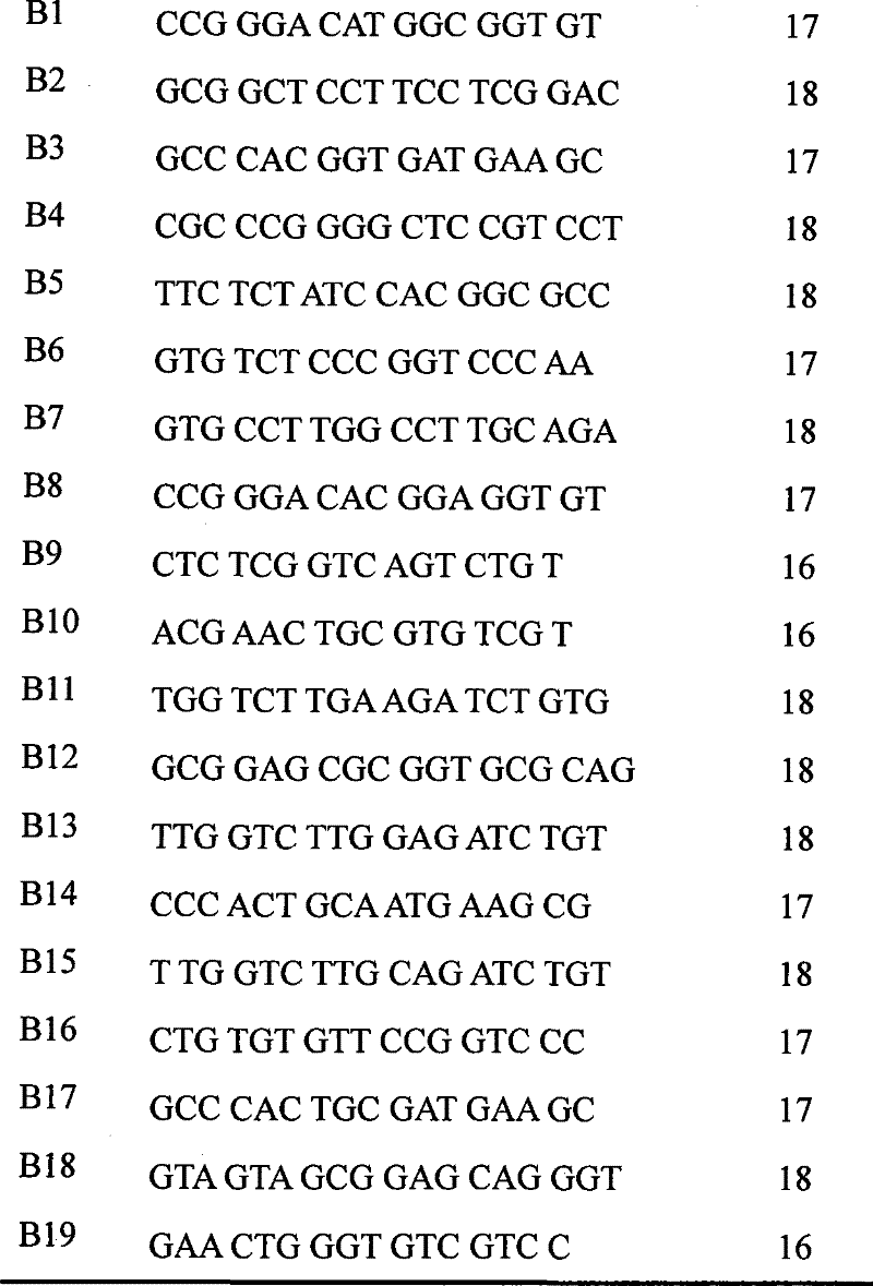 HLA-B27 genotyping detection kit