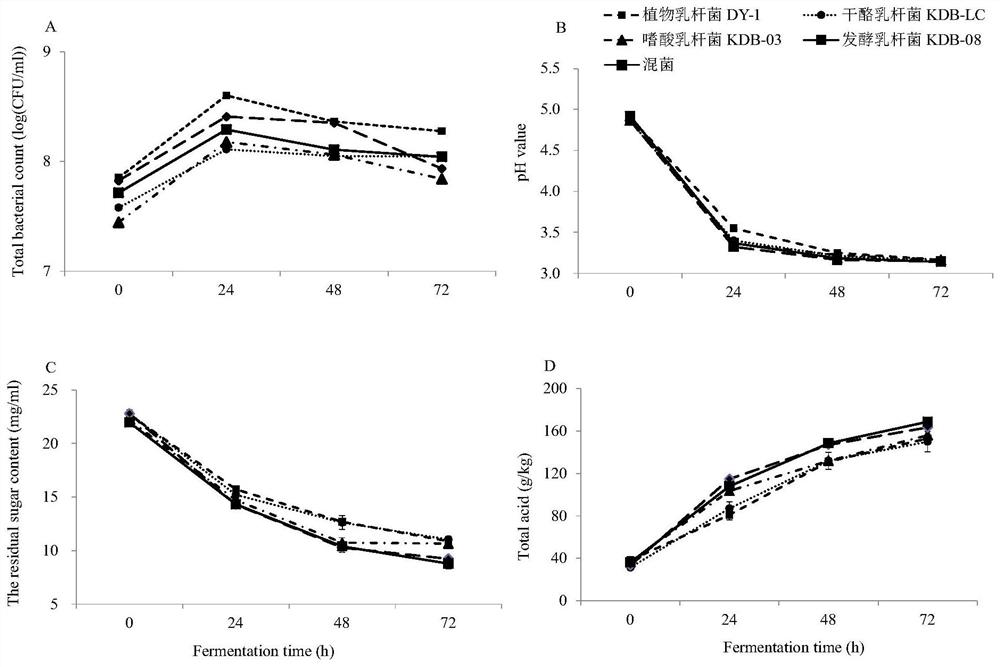 Method for improving antioxidant activity of Withania Somnifera extract through probiotic fermentation