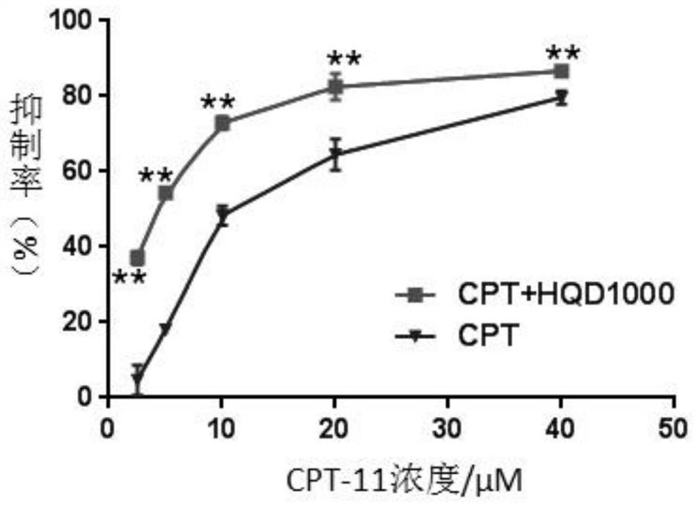 Use of Huangqin Decoction and Its Equivalent Components for Enhancing Sensitivity of Colon Cancer to Irinotecan Chemotherapy