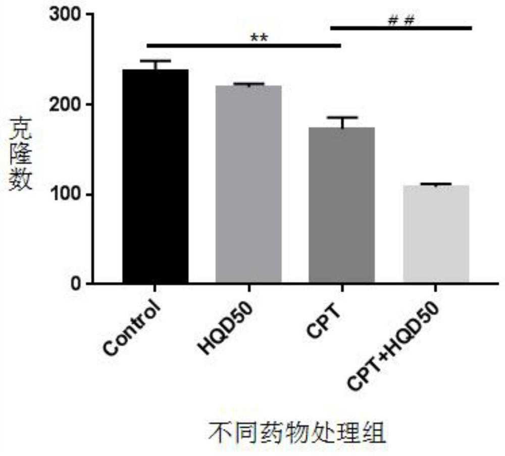 Use of Huangqin Decoction and Its Equivalent Components for Enhancing Sensitivity of Colon Cancer to Irinotecan Chemotherapy