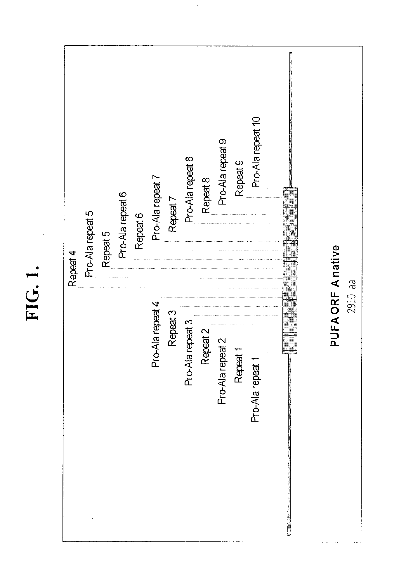 Process for designing diverged, codon-optimized large repeated DNA sequences