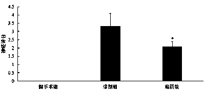 Novel fusion polypeptide with anti-cerebral ischemia effect and application thereof