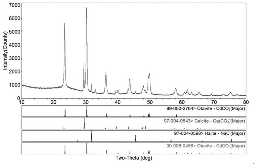 Heavy metal resistant pestalotiopsis neohirsuta microorganism and application thereof