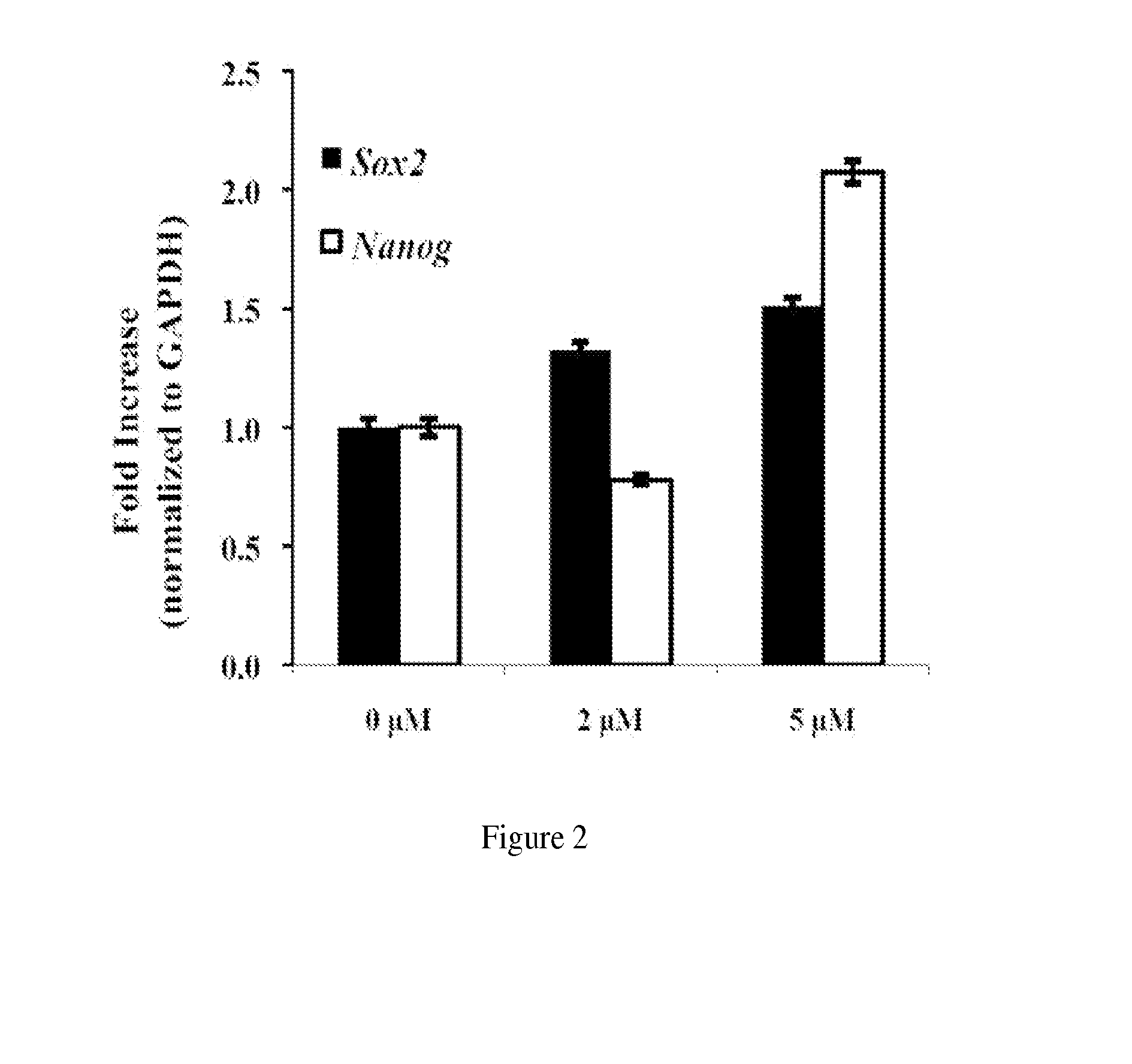 Methods and compositions for mesenchymal stem cell proliferation