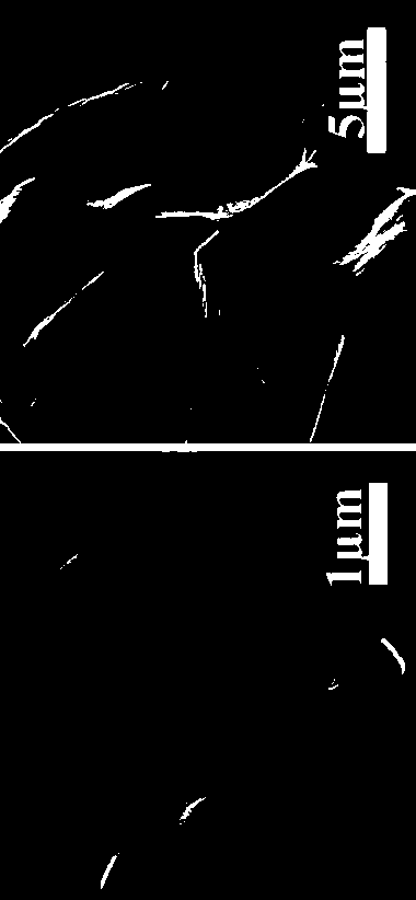 Method for preparing bismuth oxychloride/bismuth oxyiodide composite ultrathin nanosheets by ion exchange method