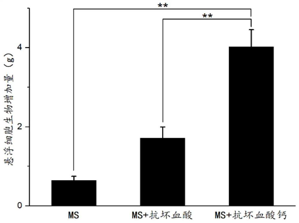 A long-term method for inhibiting the browning phenomenon of Glycyrrhizae glabra suspension cell culture