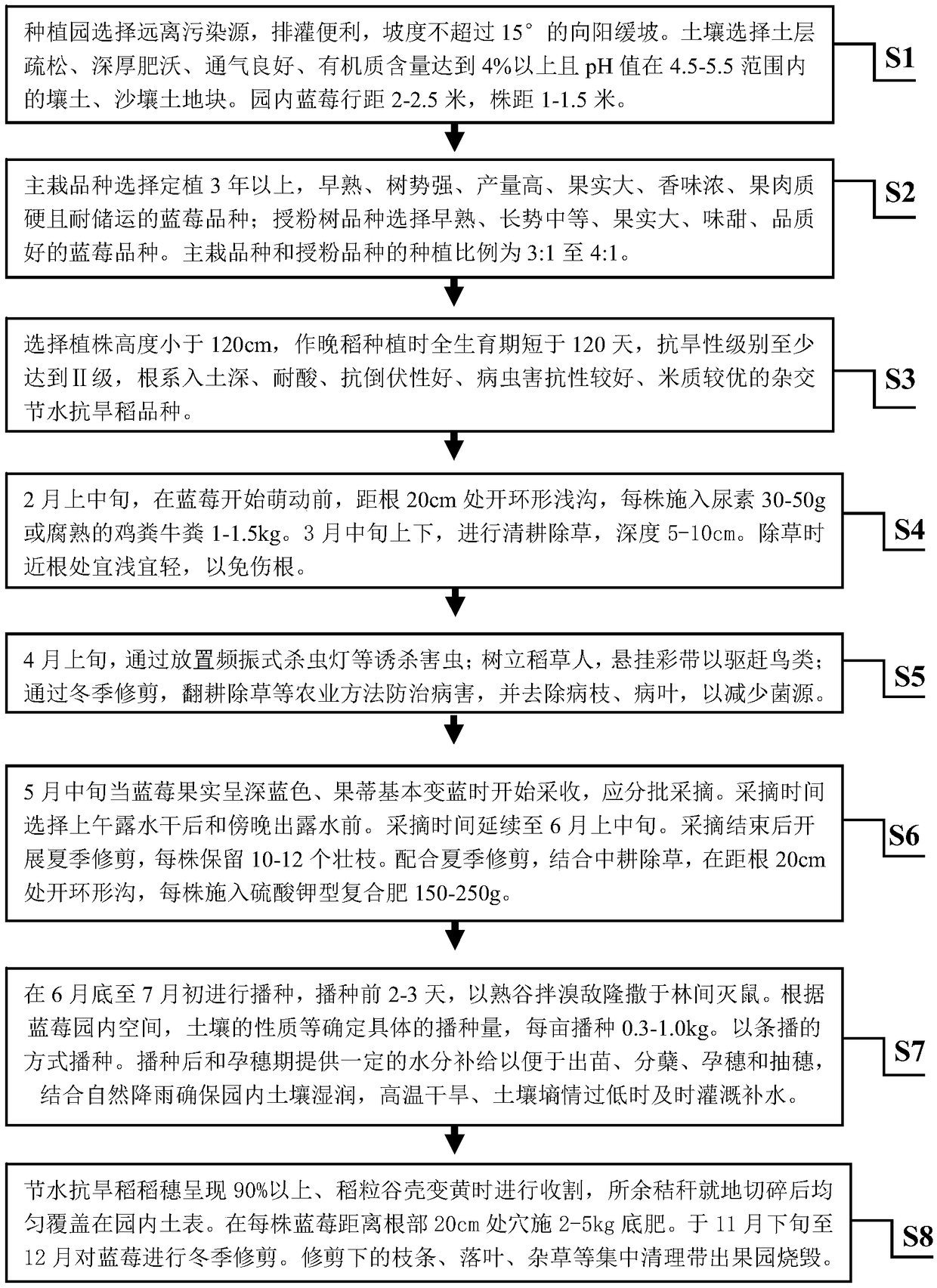 Planting method of mulberry fruit interplanted with water-saving and drought-resistant rice