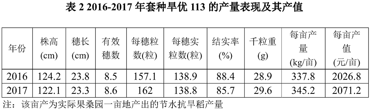 Planting method of mulberry fruit interplanted with water-saving and drought-resistant rice