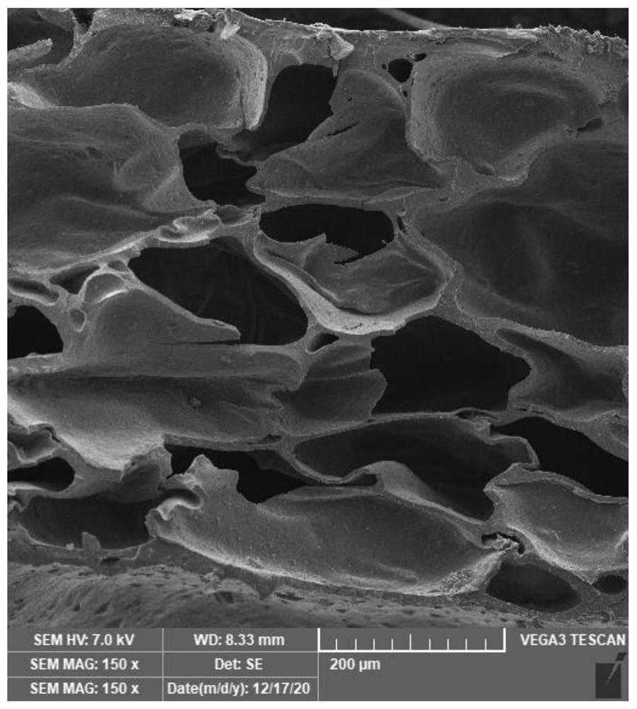 Degradable foaming material and preparation method thereof