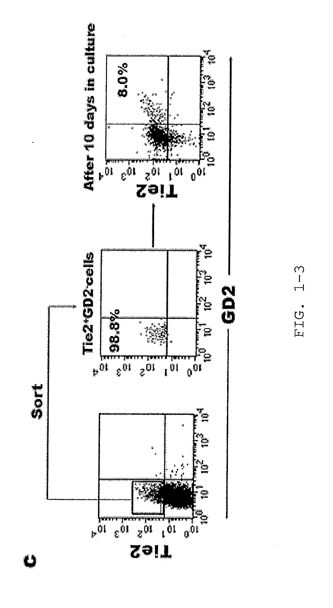 Intervertebral Disc Nucleus Pulposus Stem Cell/Progenitor Cell, The Cultivation Method And Intended Use Thereof