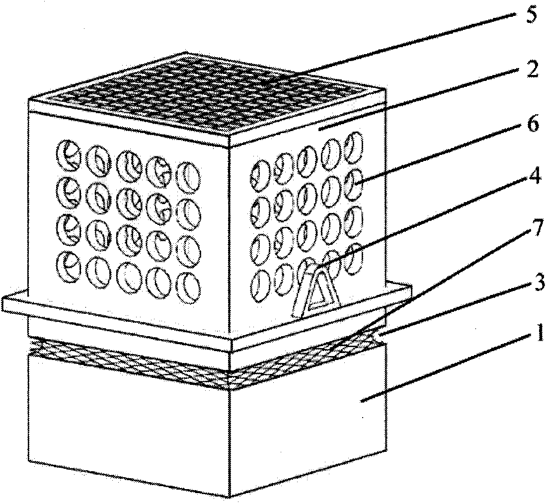 Artificial algal reef for purifying water quality and adsorbing spores by using coke