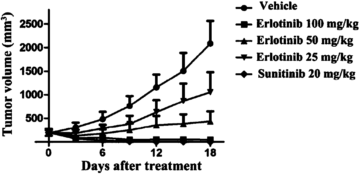 Application of erlotinib in preparation of FLT3 inhibitor-type medicine