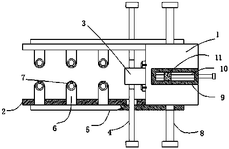 Fixing frame used by veterinarian