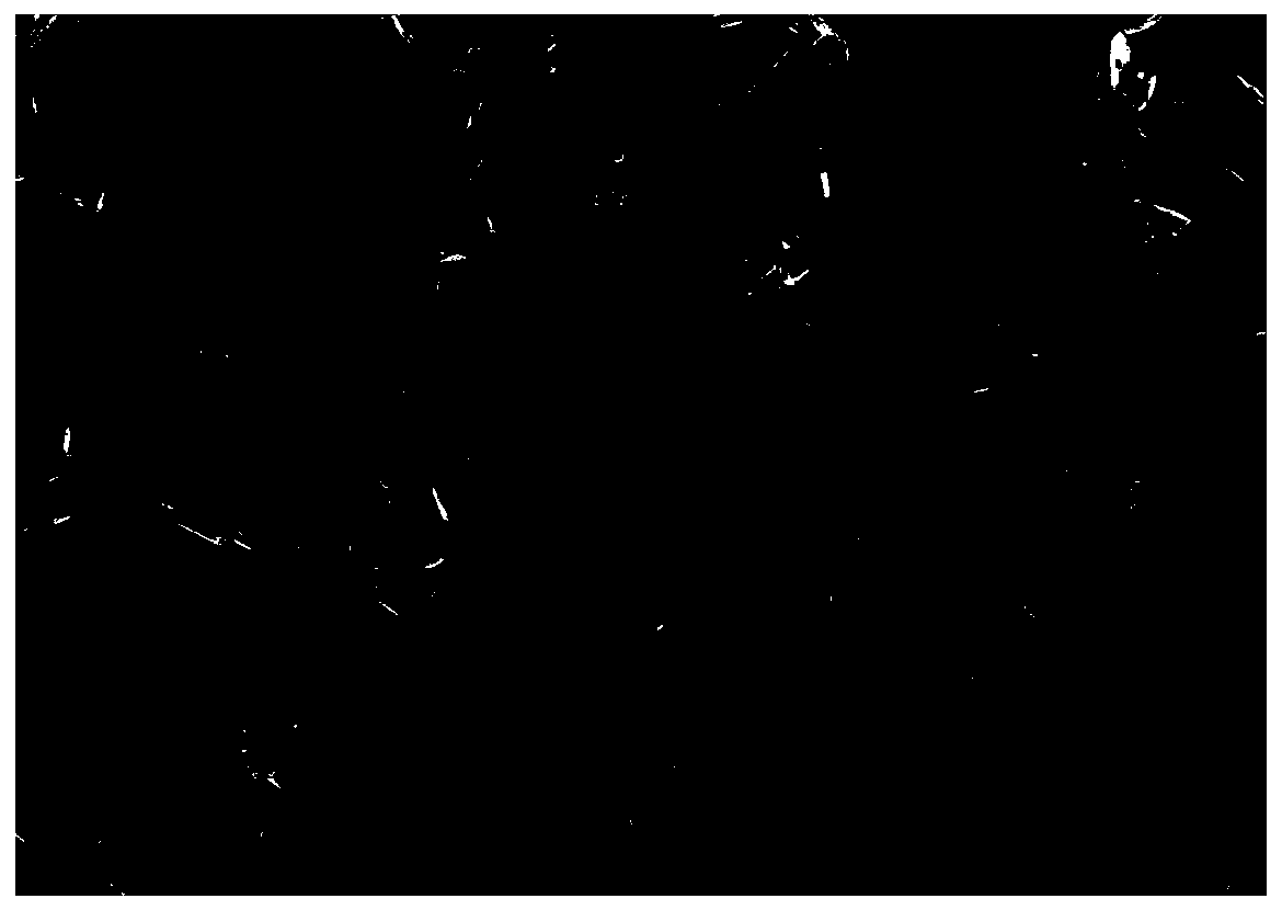 Layered and tunnel-shaped mixed structure sodium ion battery positive electrode material and a preparation method thereof and a sodium ion battery