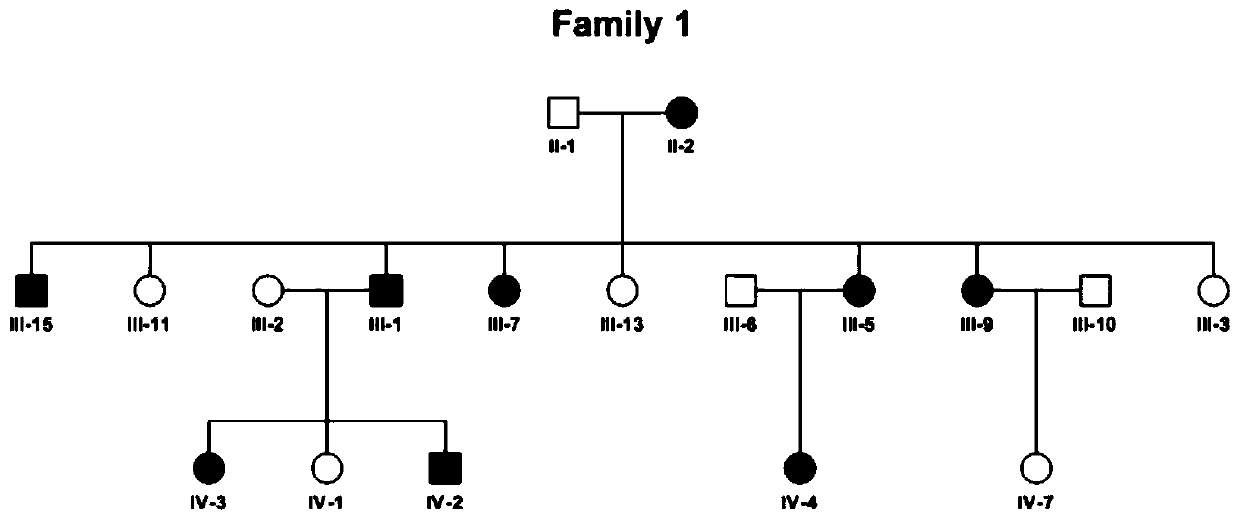 Autosomal dominant Dnajc17 gene mutant as well as application, diagnostic kit and diagnostic gene chip thereof