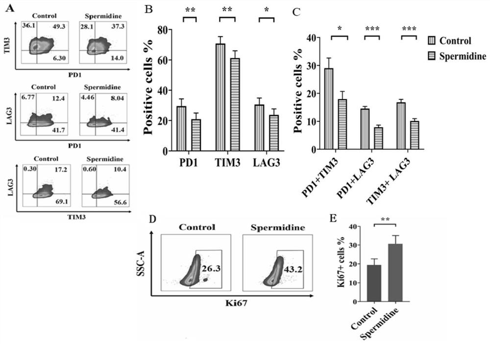 Method for enhancing anti-tumor effect of immune cells