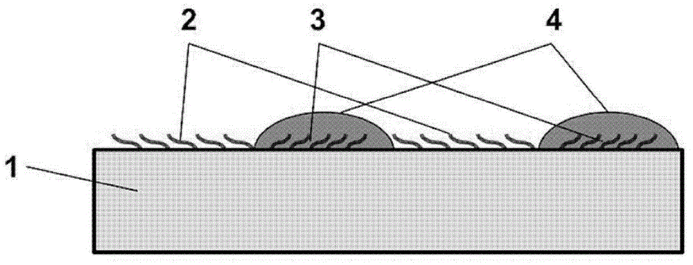 Local doping method for solar cells