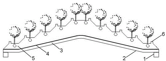 Coastal saline-alkali soil terrace type afforesting method for improvement of dredger fill