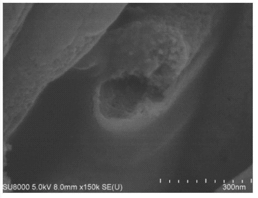 Method for preparing porous hollow nano-alumina fiber by static spinning