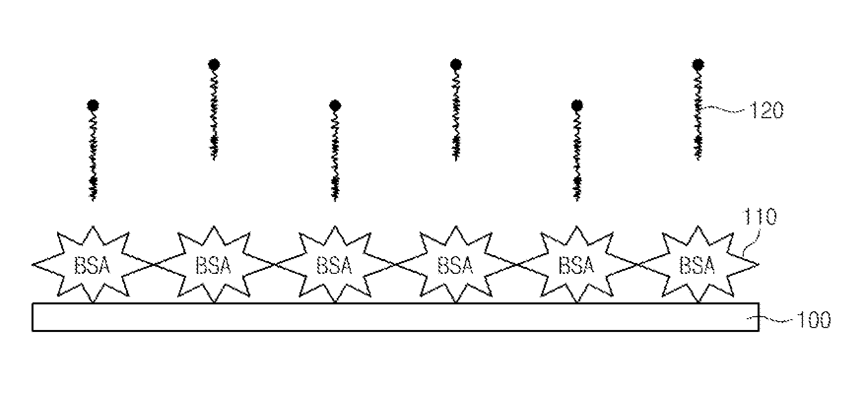 Selective photo-induced protein immobilization using bovine serum albumin