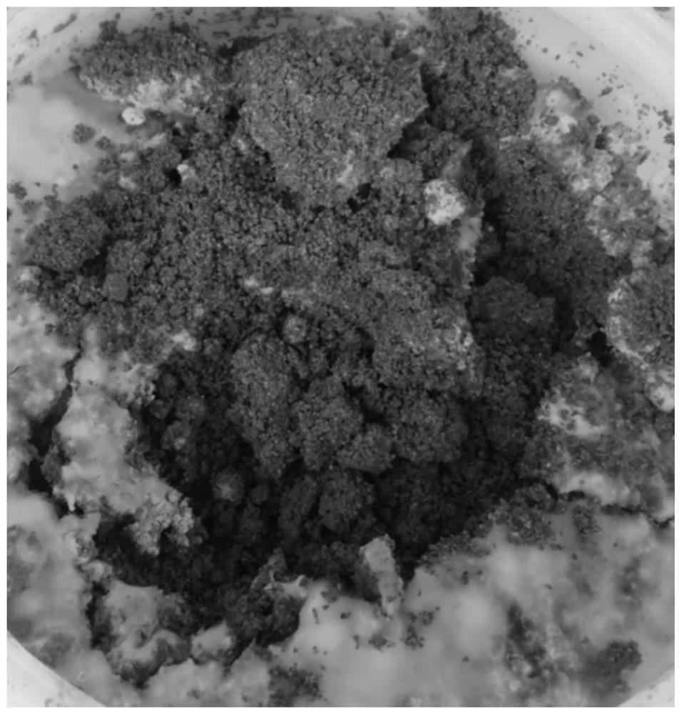 Strain composition for feed fermentation and feed prepared from composition