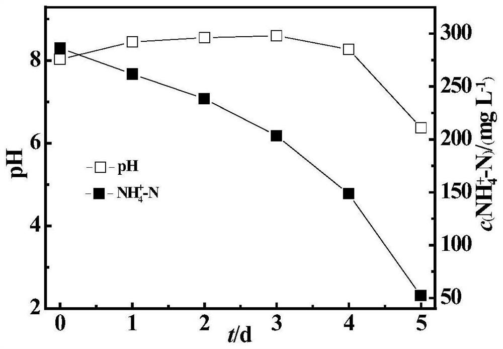 A heterotrophic nitrification-aerobic denitrification compound bacterial agent capable of removing high ammonia nitrogen at low temperature and its application