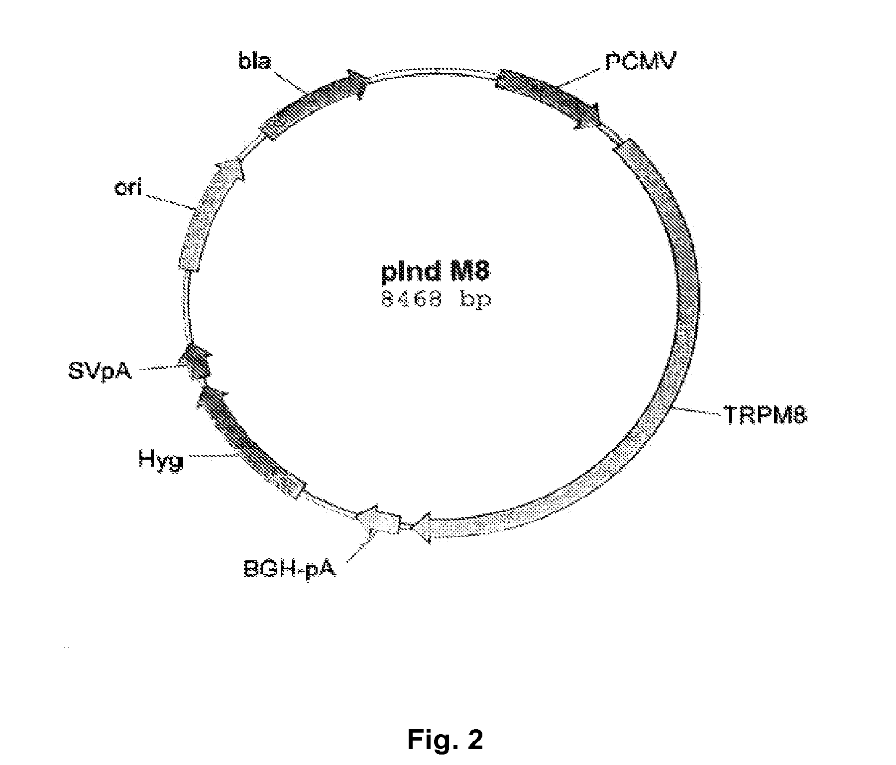 Use of physiological cooling active ingredients, and agents containing such active ingredients