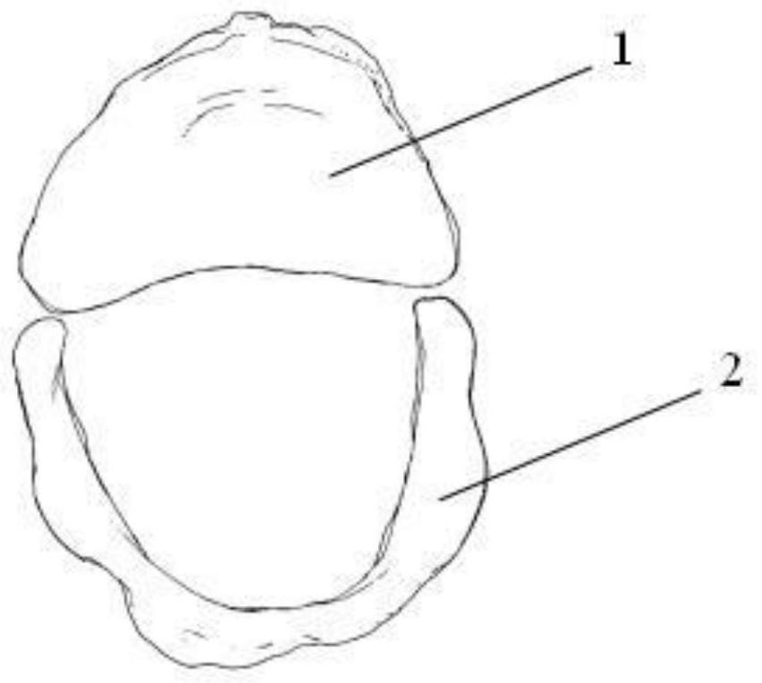 Full-process digital production method of complete dentures