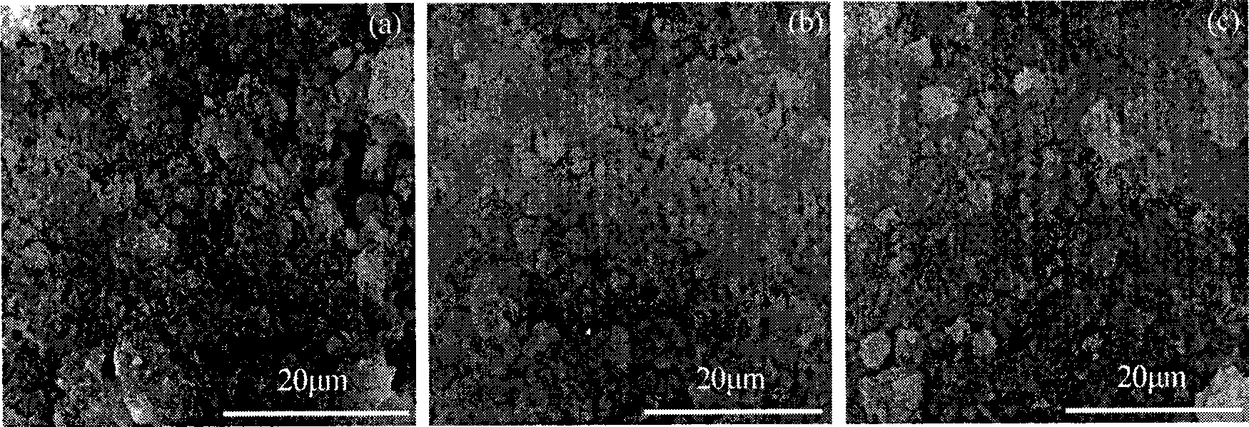 Preparation method of nano hydroxylapatite biology composite coating