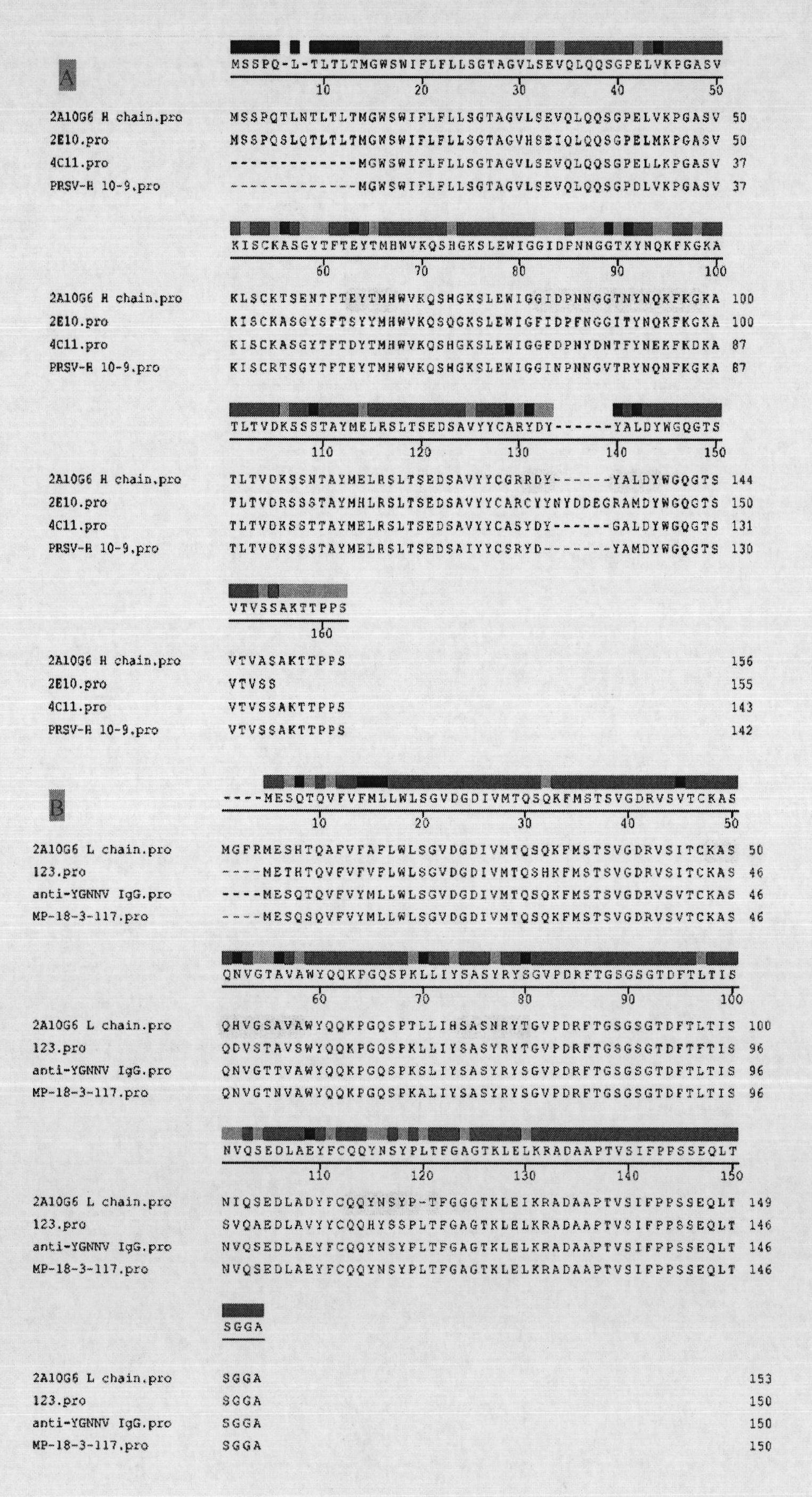 Anti-flavivirus envelope E protein monoclonal antibody and application thereof