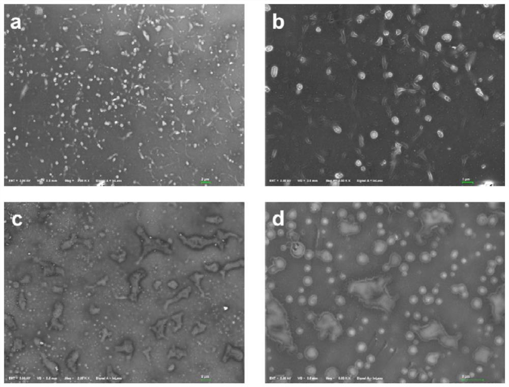 Synthesis and application of catechol derivatives and their biomimetic polymers