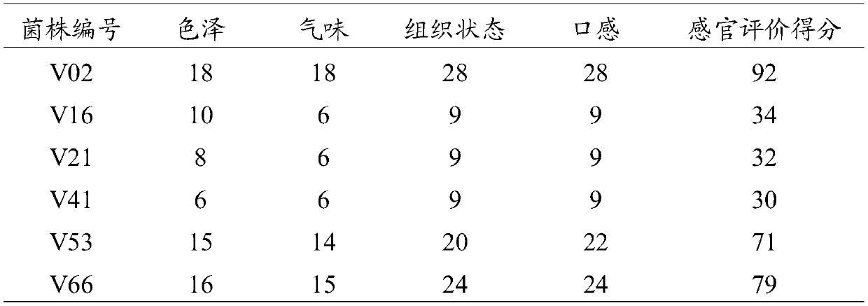 A strain of Lactobacillus plantarum, soybean milk fermented and produced based on the strain, and production method thereof