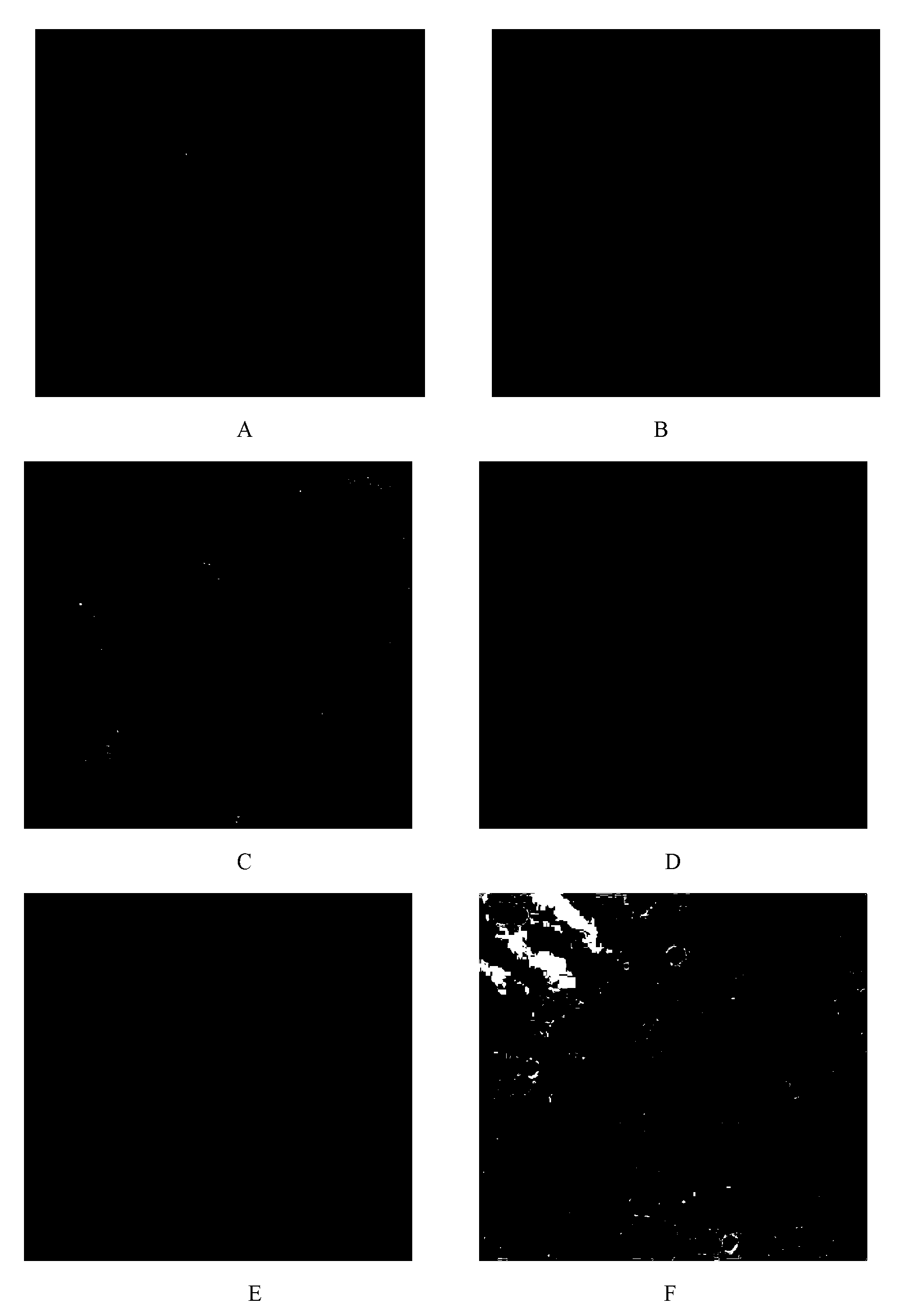 Anti-cancer pellet and colonic targeting agent