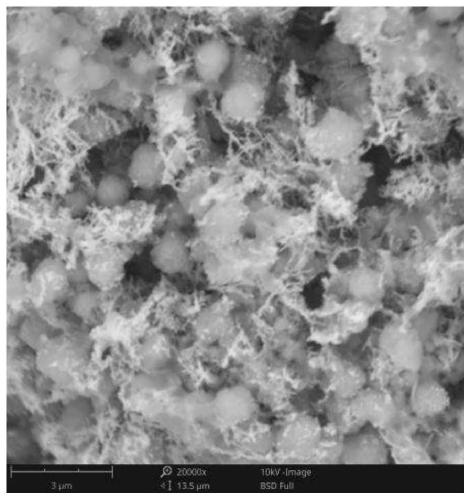 Heavy metal adsorbent, preparation method and application thereof