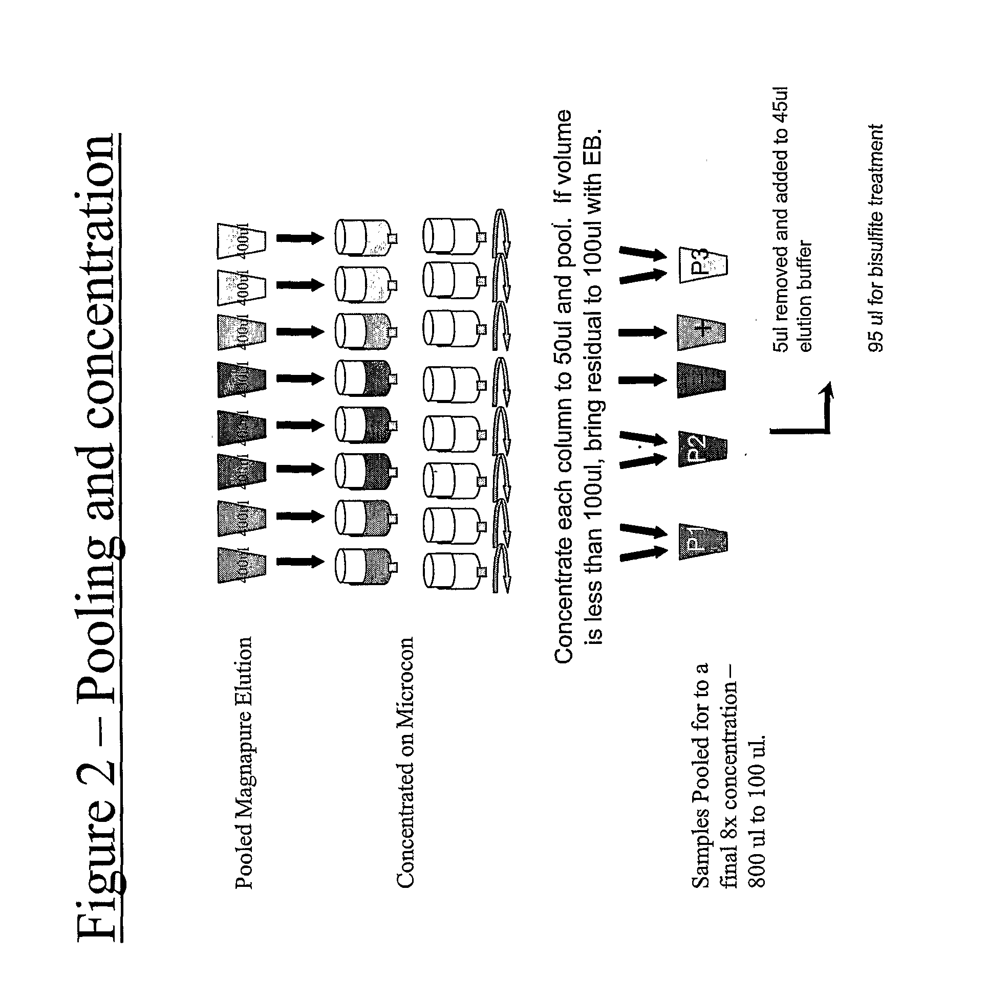 Method for providing DNA fragments derived from a remote sample