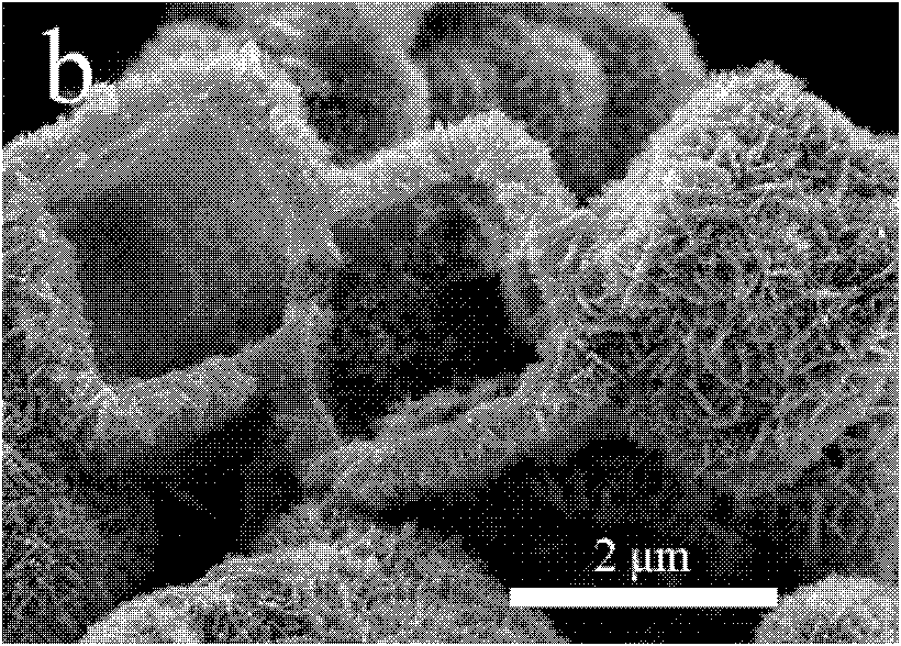 Hydrothermal synthesis method of zinc-doped tin oxide with hollow cubic structure