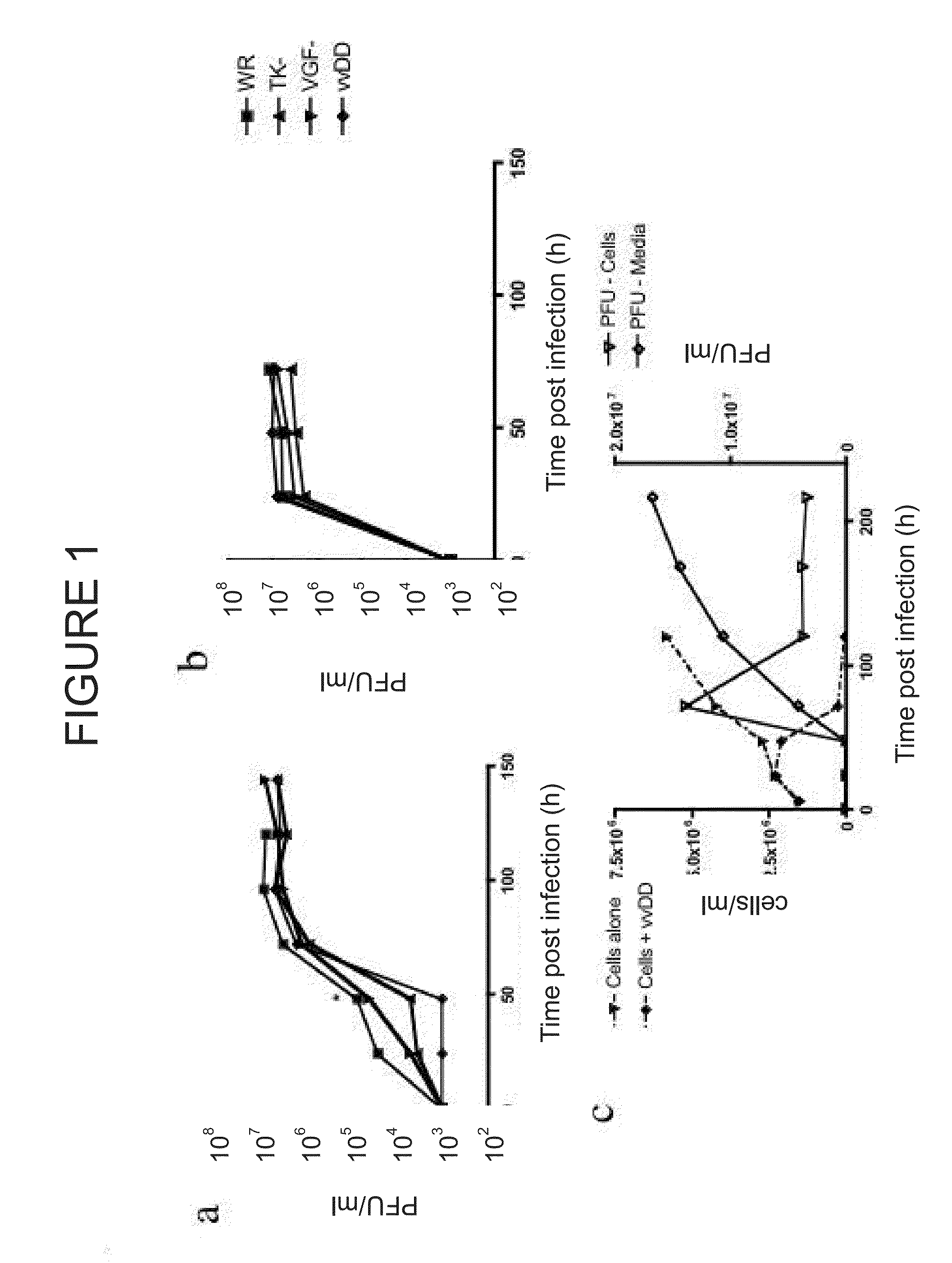 Immune Effector Cells Pre-Infected with Oncolytic Virus