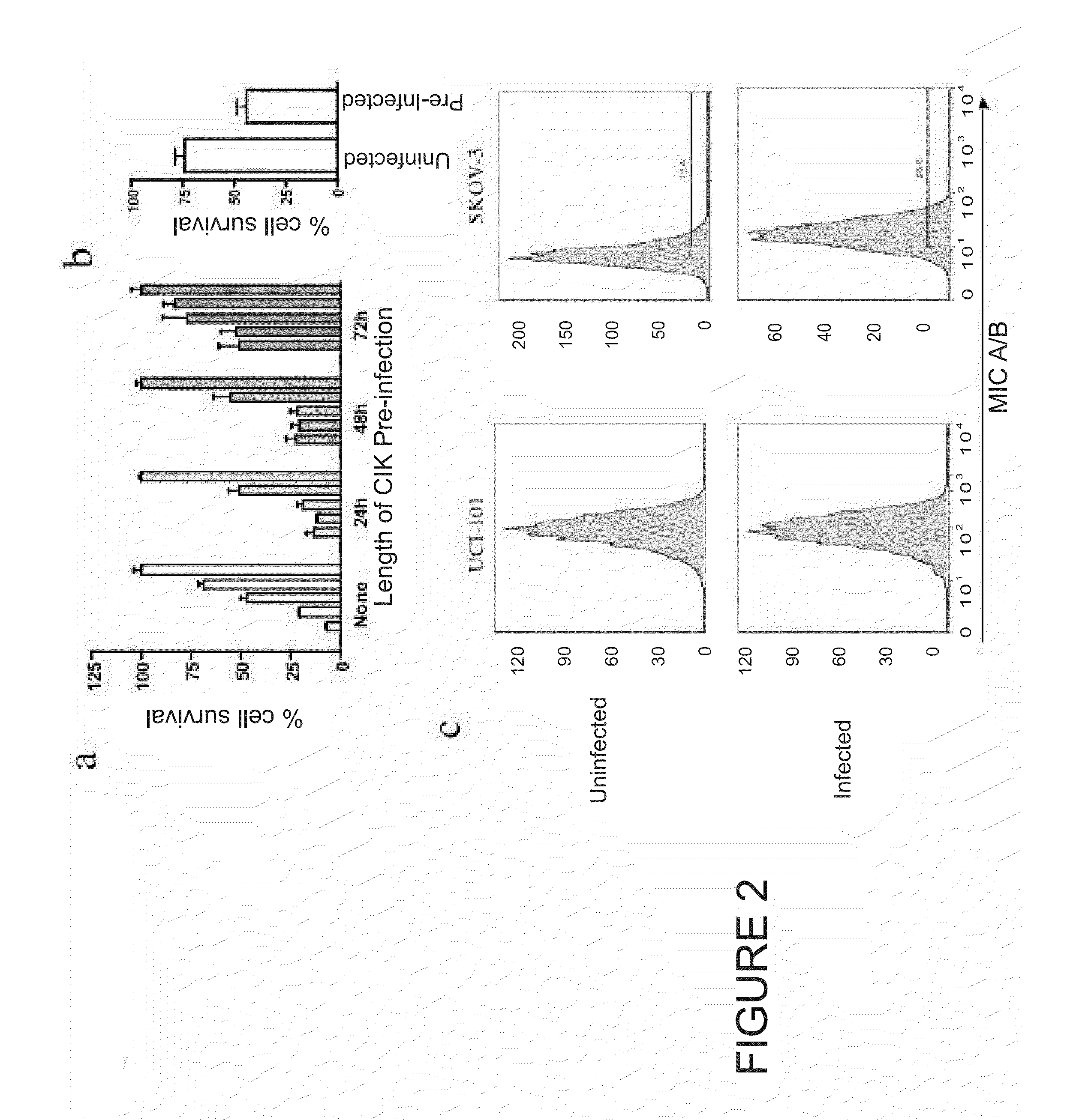 Immune Effector Cells Pre-Infected with Oncolytic Virus