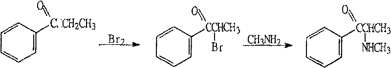 Method for producing d-pseudoephedrine by microbe transformation process