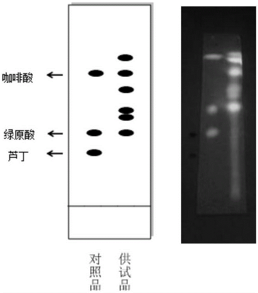 Arnica long-acting sustained release preparation for treating contusions and preparation method thereof