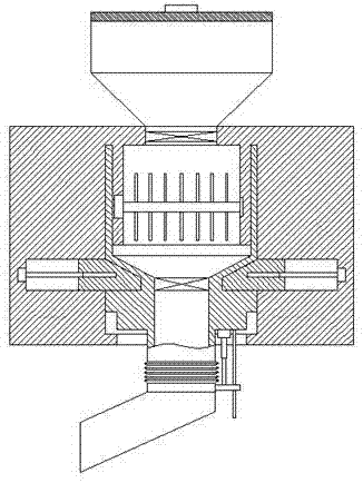 A fruit and vegetable salad machine