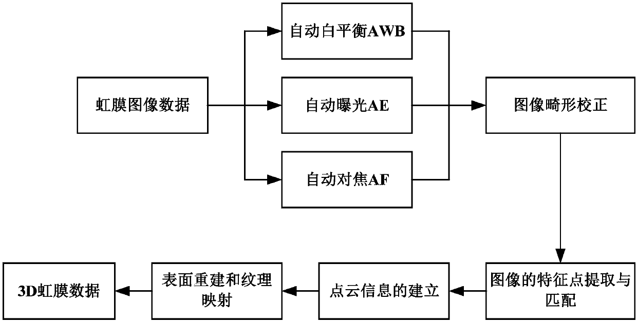 3D four-dimensional iris image data identification device