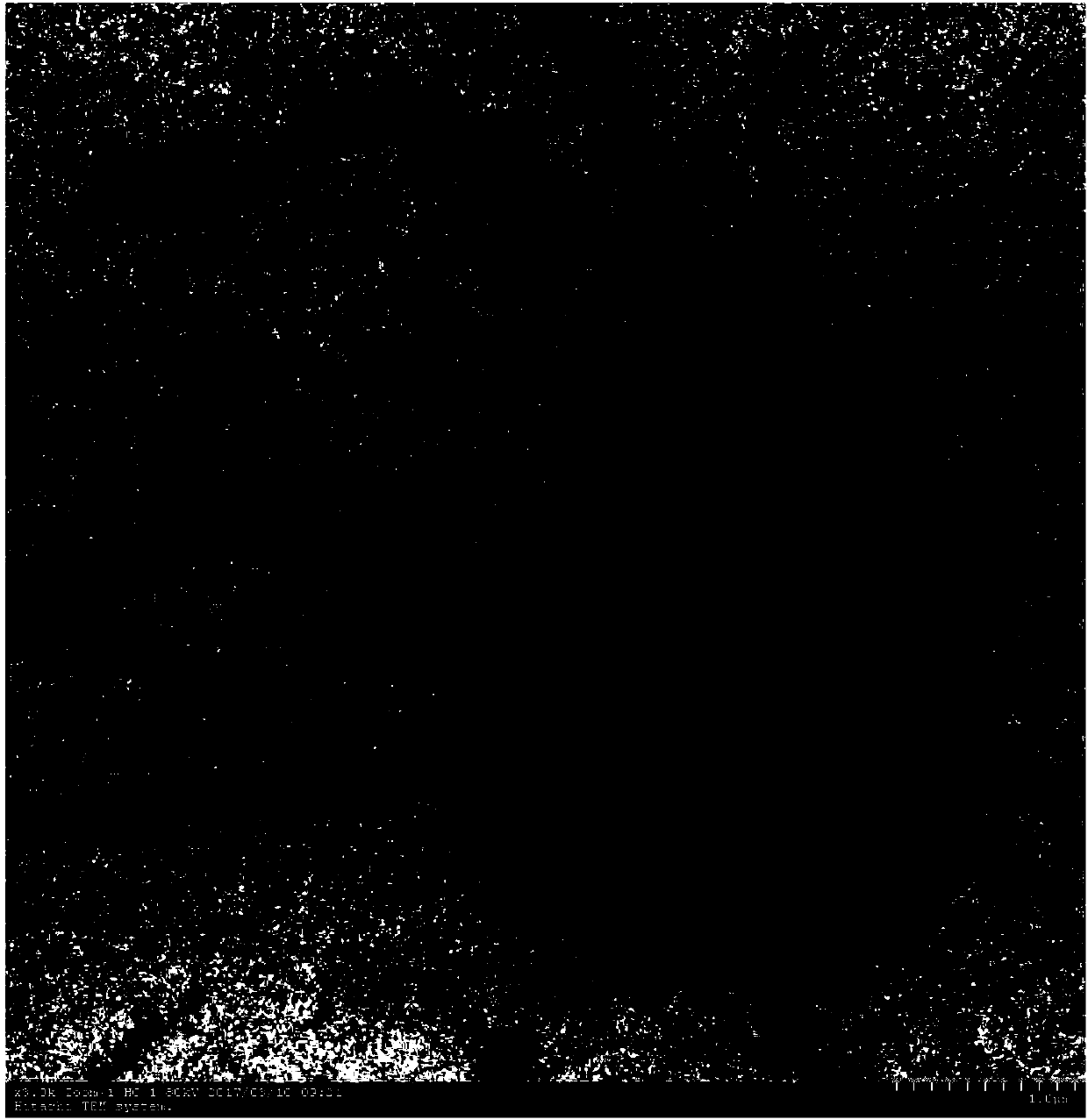 Achromobacter strain with monomethylamine degradation ability and application thereof