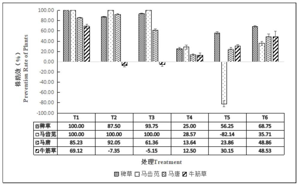 A kind of weed-resistant Zoysia seed pelletized coating material and coating method thereof