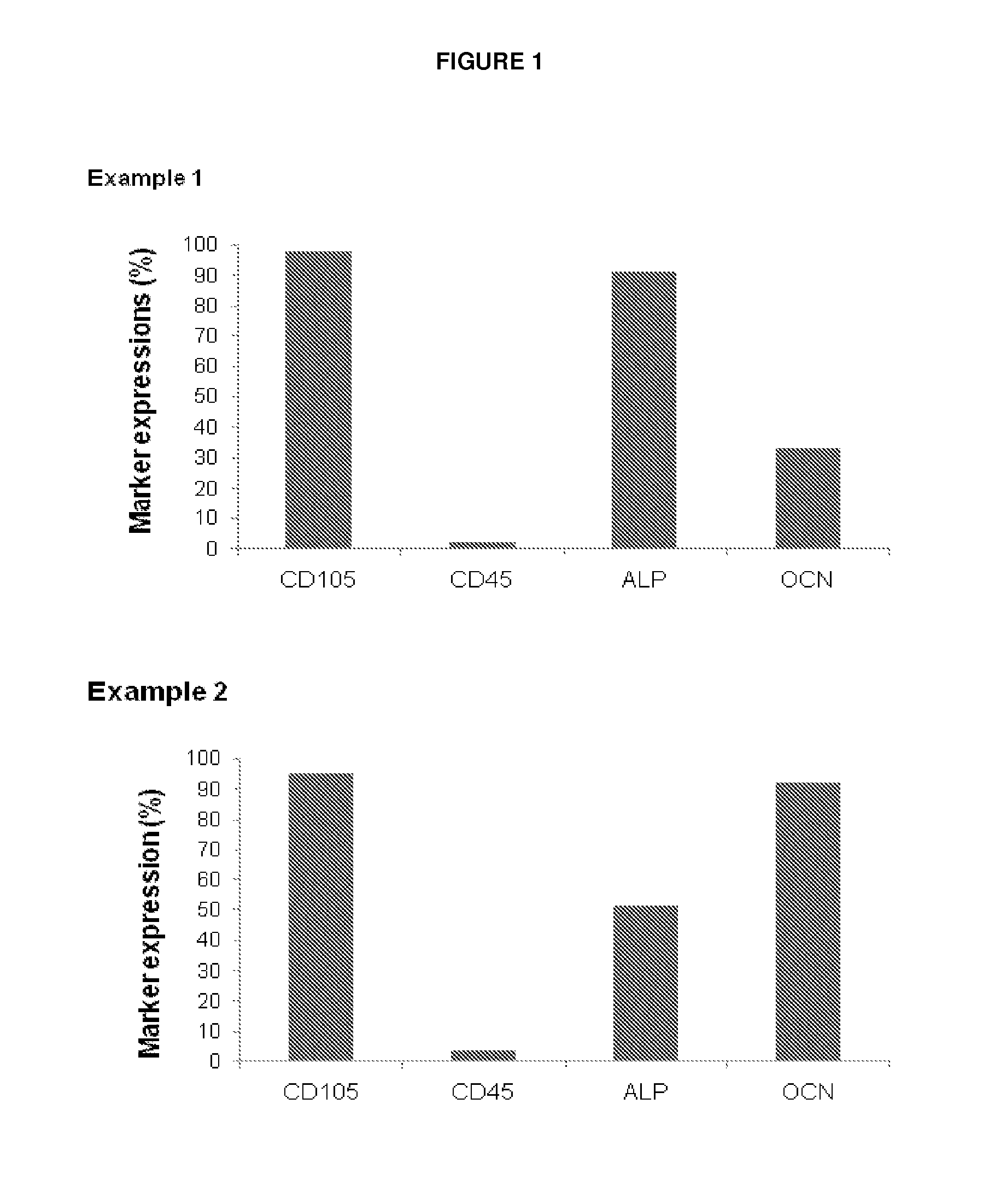 Human Bone-Forming Cells In The Treatment of Inflammatory Rheumatic Diseases