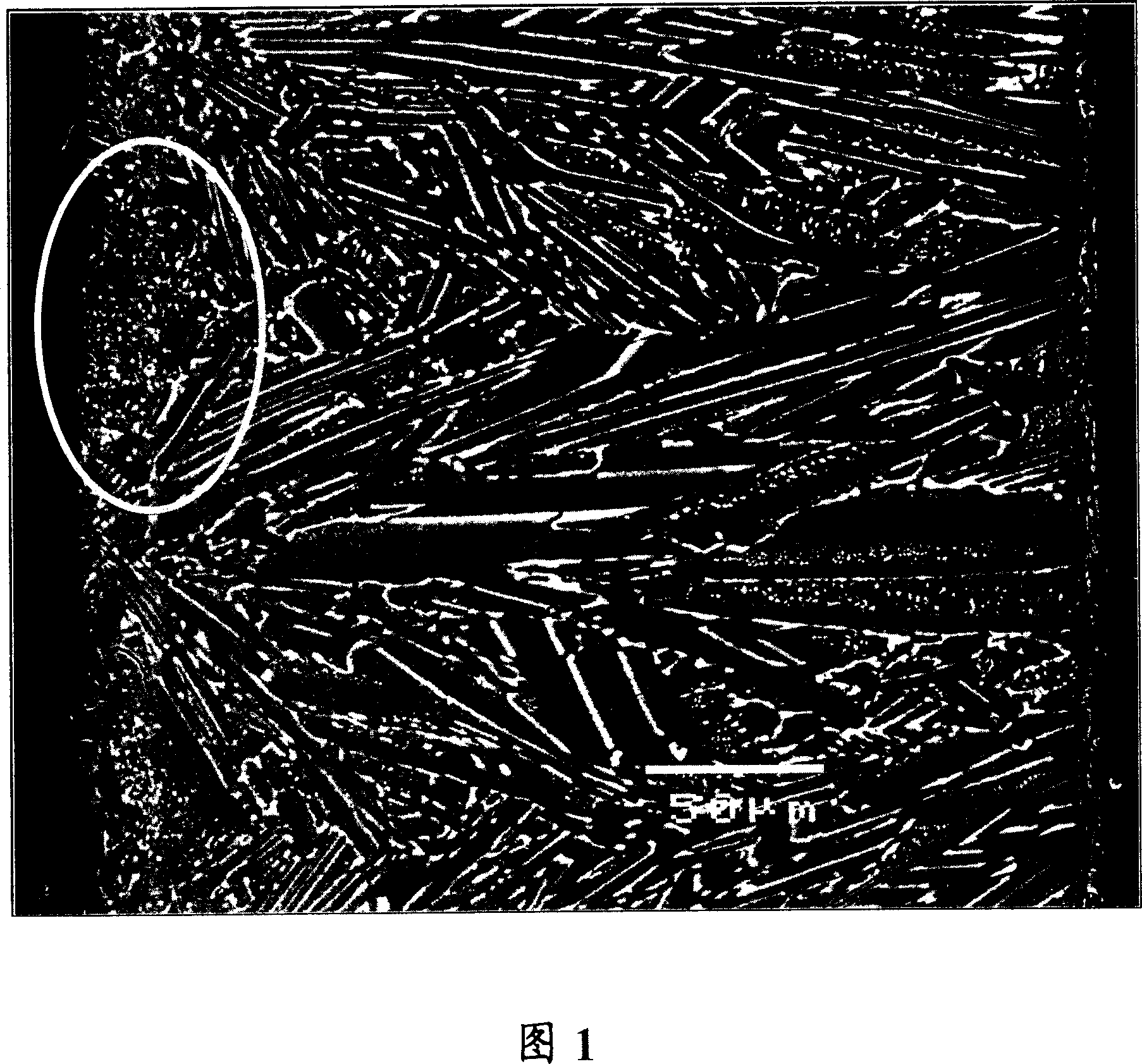 R-T-B type alloy, production method of r-t-b type alloy flake, permanent magnet, and fine powder for manufacturing the same