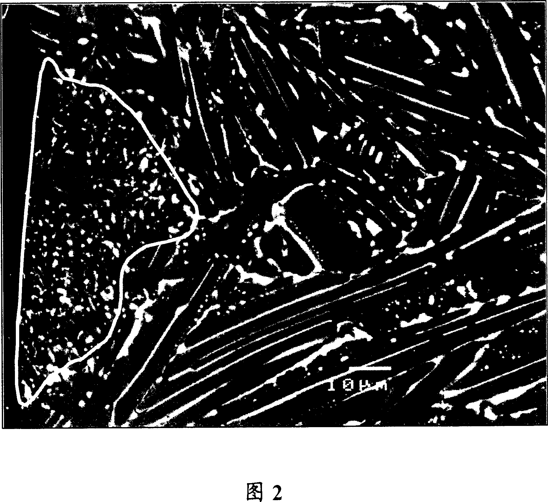 R-T-B type alloy, production method of r-t-b type alloy flake, permanent magnet, and fine powder for manufacturing the same