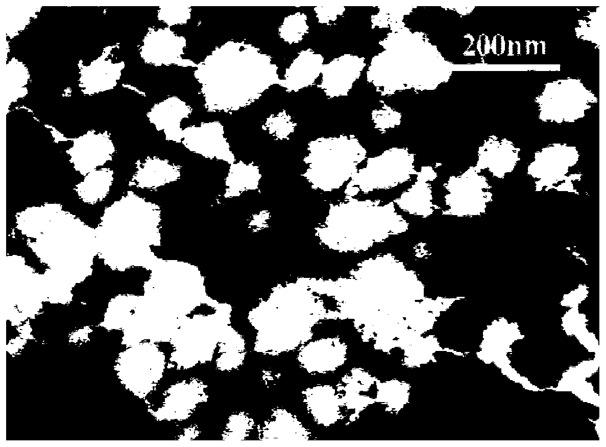 A Chinese medicinal compound targeting lipid nanosphere composition and preparation method thereof