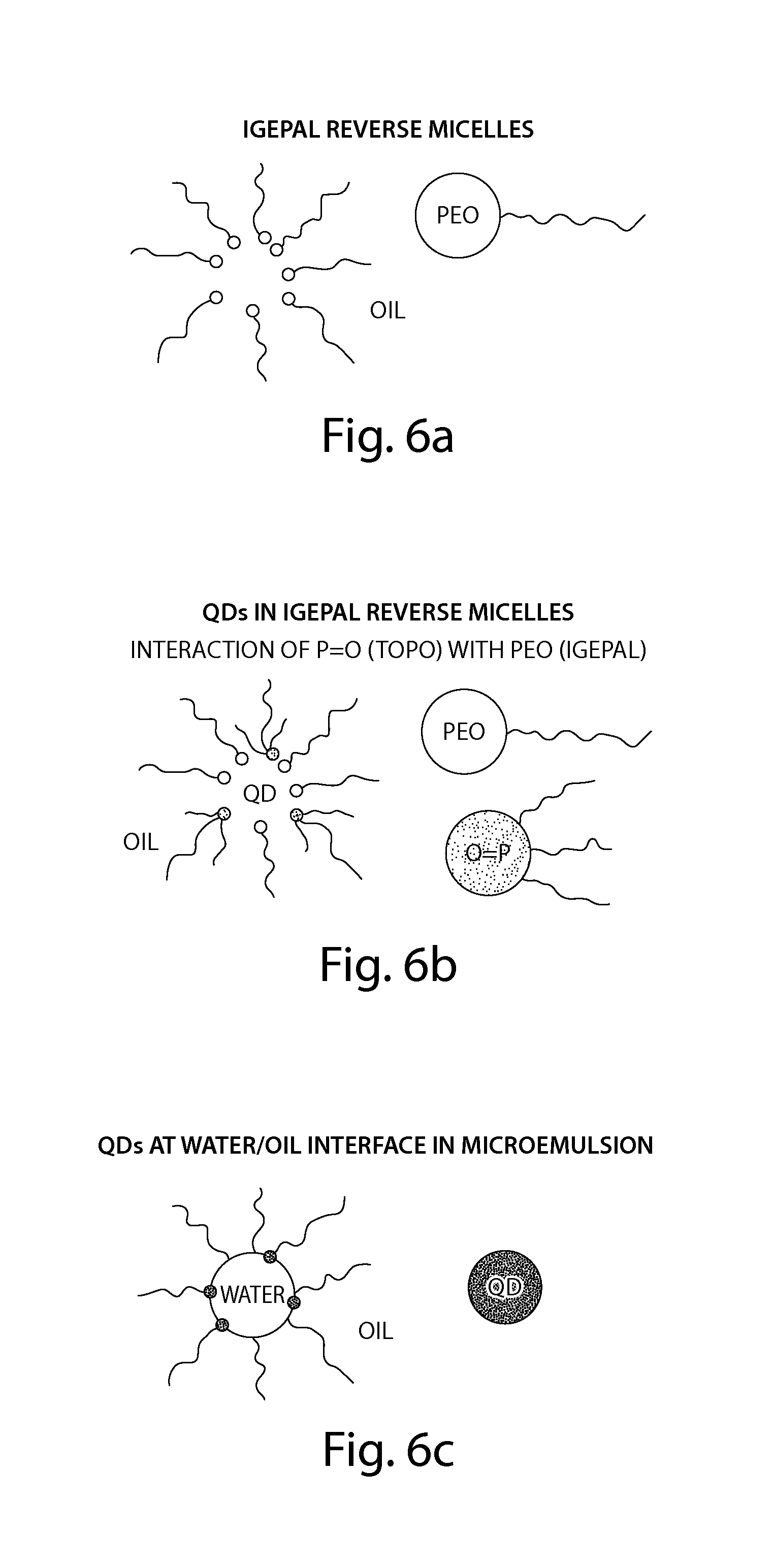 Coated water-soluble nanoparticles comprising semiconductor core and silica coating