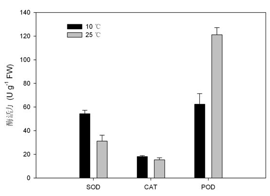 Method for detecting activity of plant superoxide dismutase, catalase and peroxidase